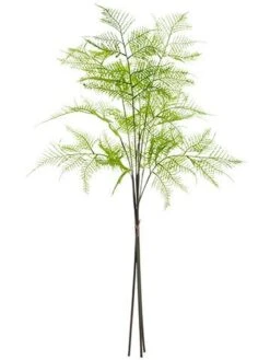 33″ Lace Fern Bundle X3  Green