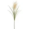 47″ Pampas Grass Spray Tan Green