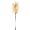 36″ Pampas Grass Spray Beige