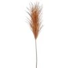 37″ Reed Grass Spray Brown