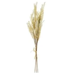38″ Rattail Grass Bundle X3 Beige Cream