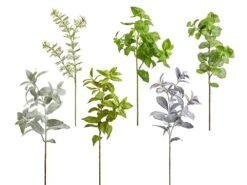 21″-25″ Herb Spray Assortment (6 Ea/set) Green Gray