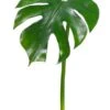 23″ Split Philodendron Leaf Spray Green