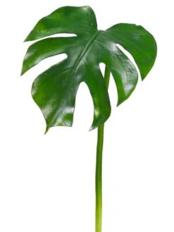 23″ Split Philodendron Leaf Spray Green