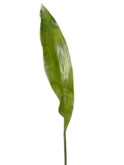 36″ Apista Leaf Spray  Green