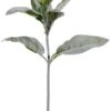 15″ Lamb’s Ear Spray  Green Gray