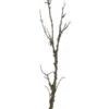 45″ Mossy Branch  Green