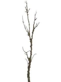 45″ Mossy Branch  Green