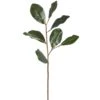 33″ Magnolia Leaf Spray Green