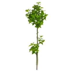 42.5″ Mint Branch Green