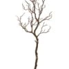 38″ Manzanita Tree Branch Brown
