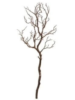38″ Manzanita Tree Branch Brown