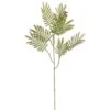24″ Mimosa Leaf Spray Green