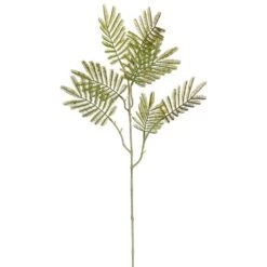 24″ Mimosa Leaf Spray Green