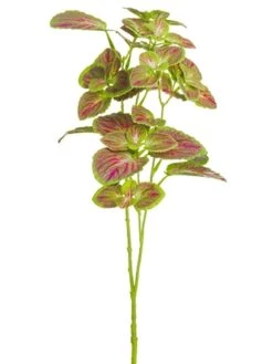 17″ Mint Leaf Spray Green Beauty
