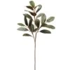 32″ Magnolia Leaf Spray Green