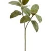 34″ Magnolia Leaf Spray X2 Green