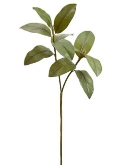 34″ Magnolia Leaf Spray X2 Green