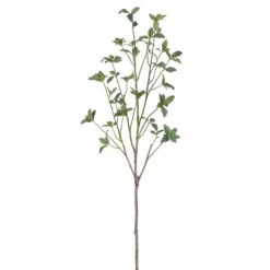 44″ Black Olive Spray Green