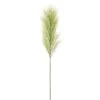 36″ Pampas Grass Spray Green