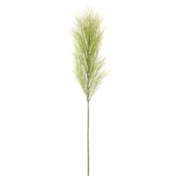 36″ Pampas Grass Spray Green