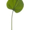 24.5″ Fan Palm Leaf Spray Green