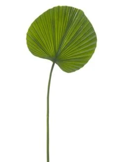 24.5″ Fan Palm Leaf Spray Green
