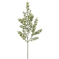 37″ Ruscus Spray Green