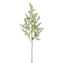 54″ Sophora Japonica LeafSprayGreen