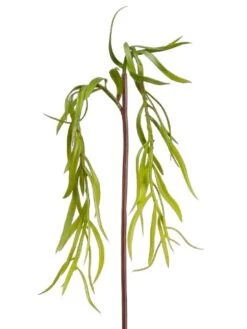 15.5″ Willow Stem Green