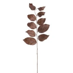 31″ Wintergreen Leaf Spray Dark Brown