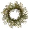24″ Acacia Wreath Green