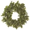 16″ Boxwood Wreath Green