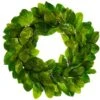 30″ Magnolia Leaf Wreath Green