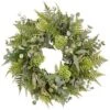 27″ Eucalyptus/Sedum/Fern Wreath Green