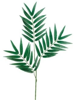 28″ Phoenix Palm Branch X3 with 39 Leaves 
