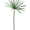 42″ Cypress Grass Spray With 20 Leaves Green