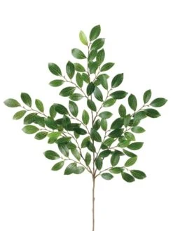 26″ New Ruscus Spray X14 With 94 Leaves Green