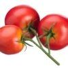 5″ Tomato X3 Red