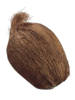 7″ Weighted Coconut Brown