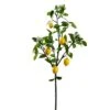 48″ Lemon Tree Branch With Blossoms Yellow