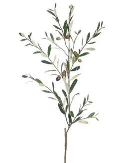 38″ Olive Spray Green