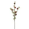 36″ Pomegranate Spray Brown
