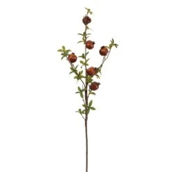 36″ Pomegranate Spray Brown