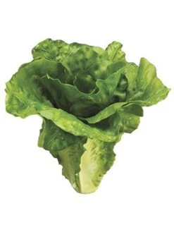6″ Lettuce Green