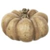 4.75″H X 7.25″D Pumpkin Camel
