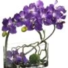 18″H X 7″W X 14″L Vanda Orchid/Twig/Moss Ball In Glass Vase Purple