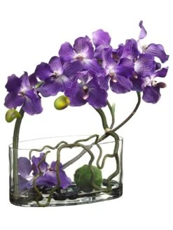 18″H X 7″W X 14″L Vanda Orchid/Twig/Moss Ball In Glass Vase Purple