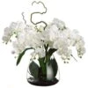26″H X 28″W X 28″L Phalaenopsis Orchid In Glass Vase Cream