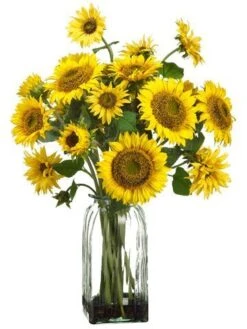 30″H X 17″W X 17″L Sunflower In Glass Vase Yellow